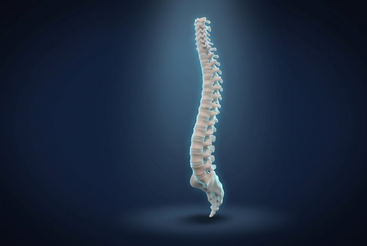Ilustração 3D da coluna vertebral completa