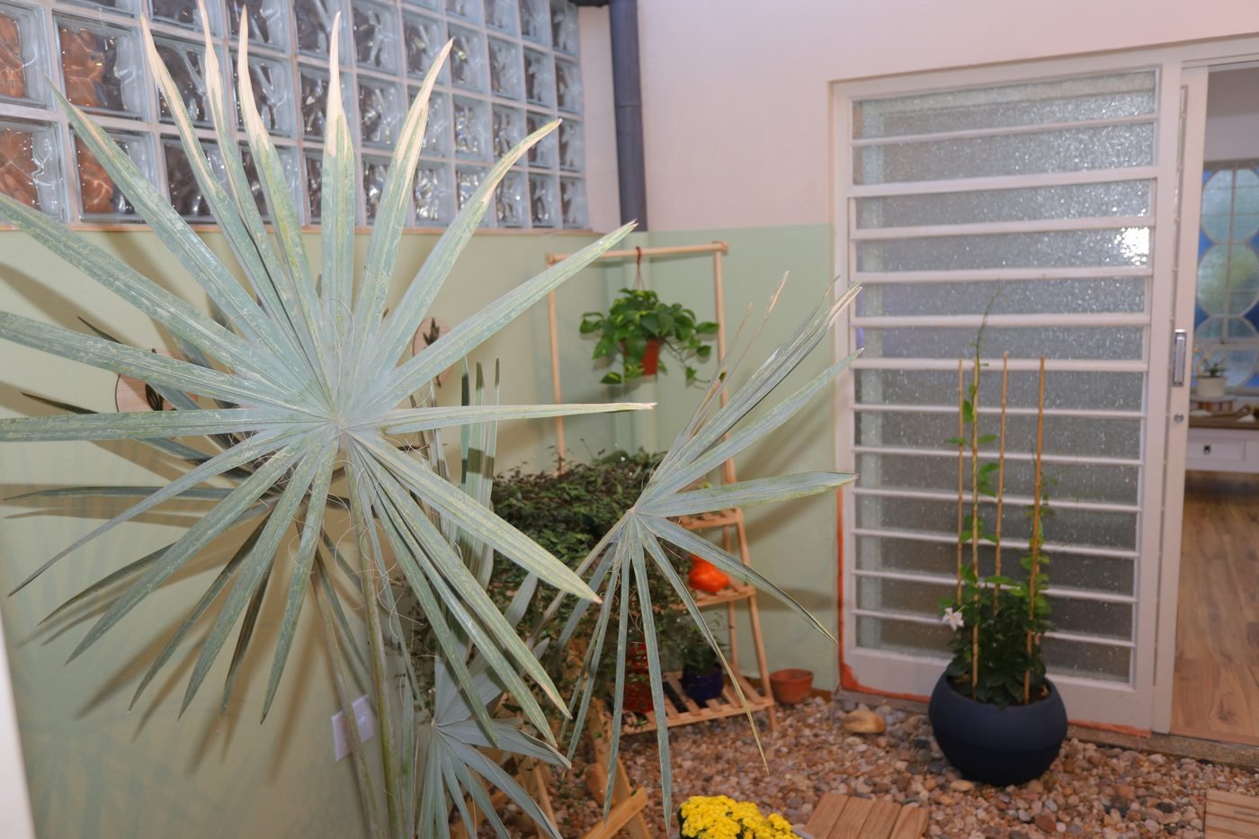 Jardim interno do Espaço de Saúde